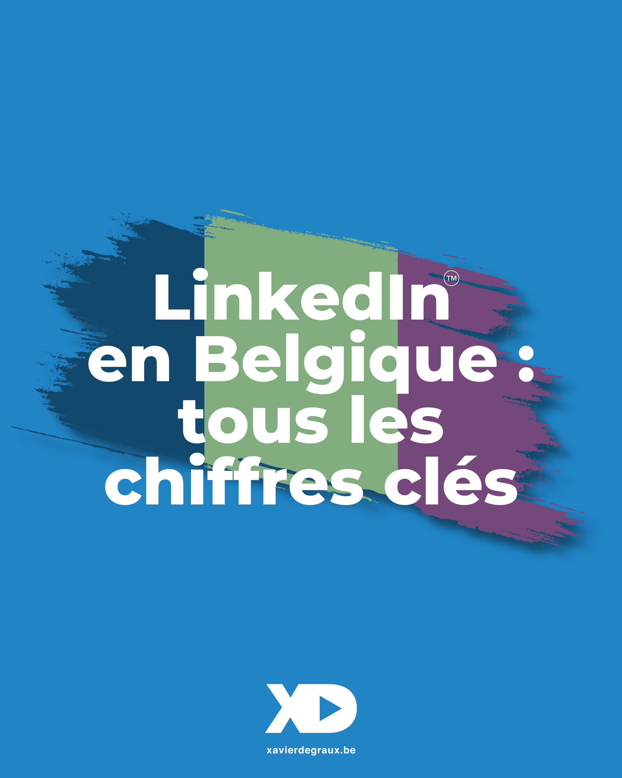 LinkedIn en Belgique : tous les chiffres clés (étude exclusive 2024)