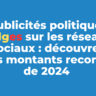 Publicités politiques belges sur les réseaux sociaux : découvrez les montants records de 2024 (étude)